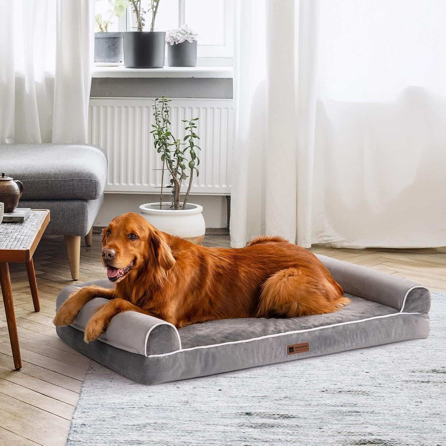 Orthopedic Dog Bed - XL Large Dogs - Purrfect Pet Haven