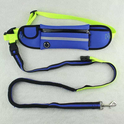 Blue and green dog leash and harness set on a light gray background