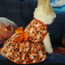 Elegant Halloween Pet Party Dress - Festive Costume Outfit - Purrfect Pet Haven