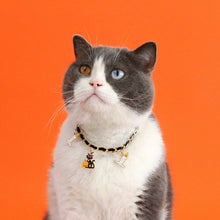 Luxurious Velvet Halloween Pet Collar - Gothic Bat Dripping Design - Purrfect Pet Haven