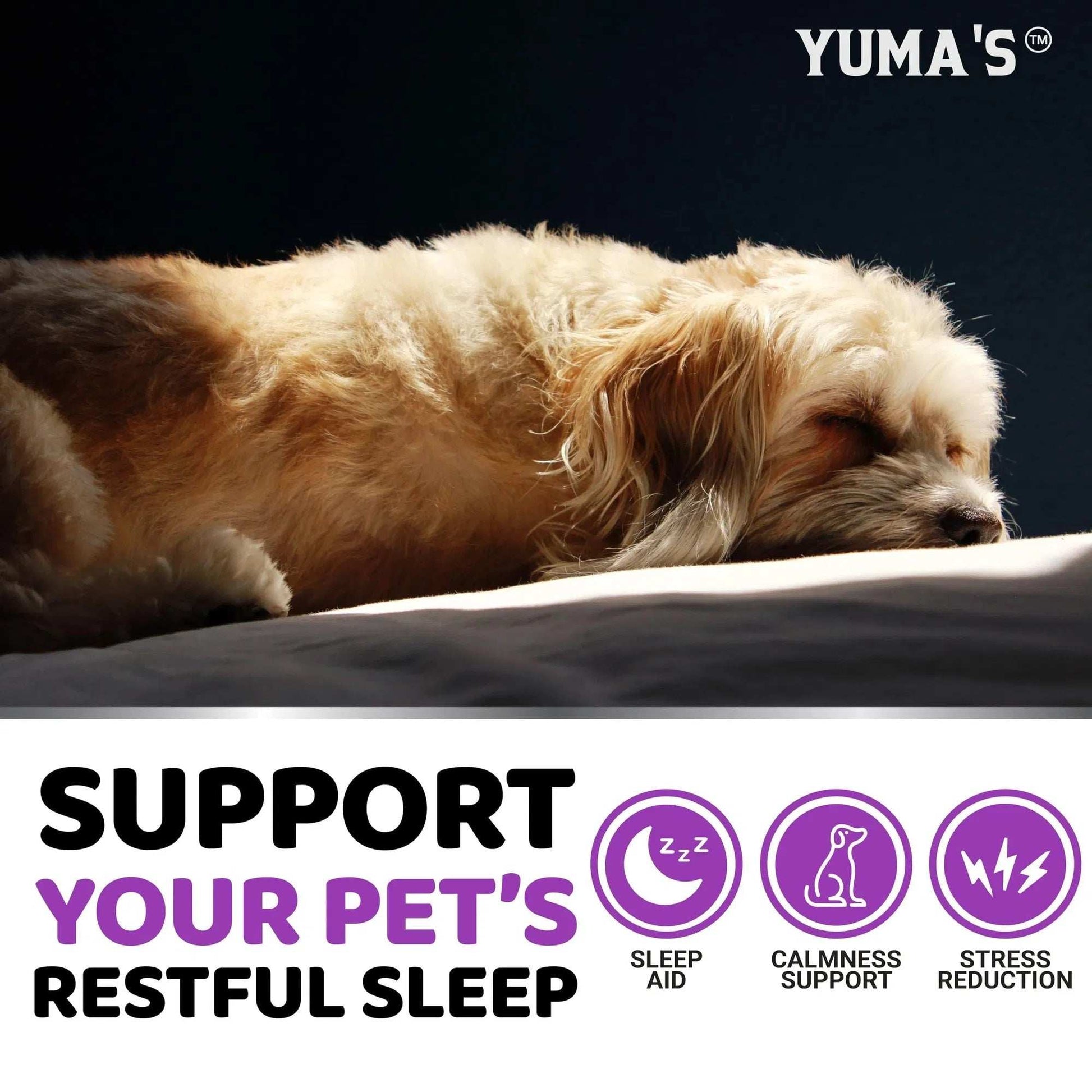 Do Not Sell On Amazon Melatonin Calming Chews For Dogs 170 Chews Dog Stress And Anxiety Relief - Purrfect Pet Haven