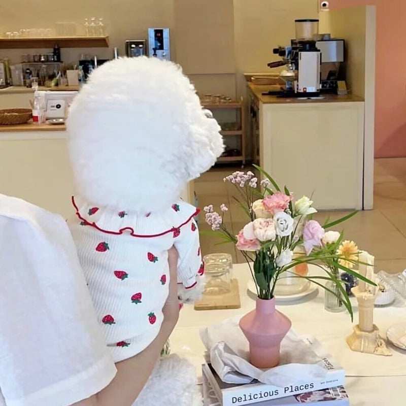 Summer Thin Lace Ruffle Strawberry Pet Cat Dog Clothes - Purrfect Pet Haven