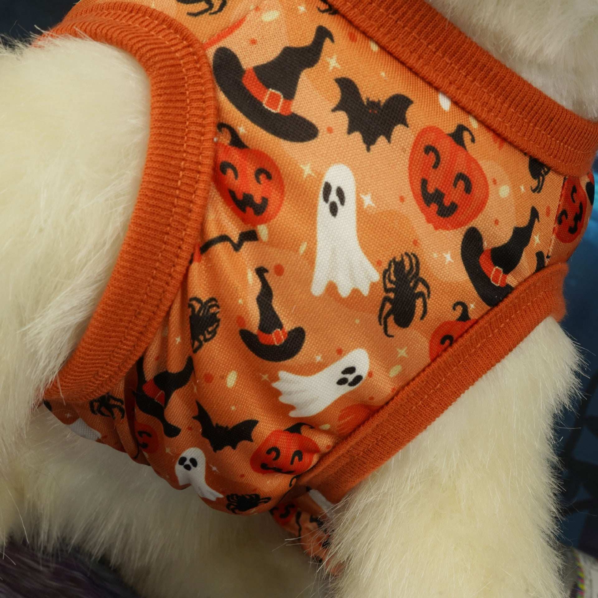 Elegant Halloween Pet Party Dress - Festive Costume Outfit - Purrfect Pet Haven