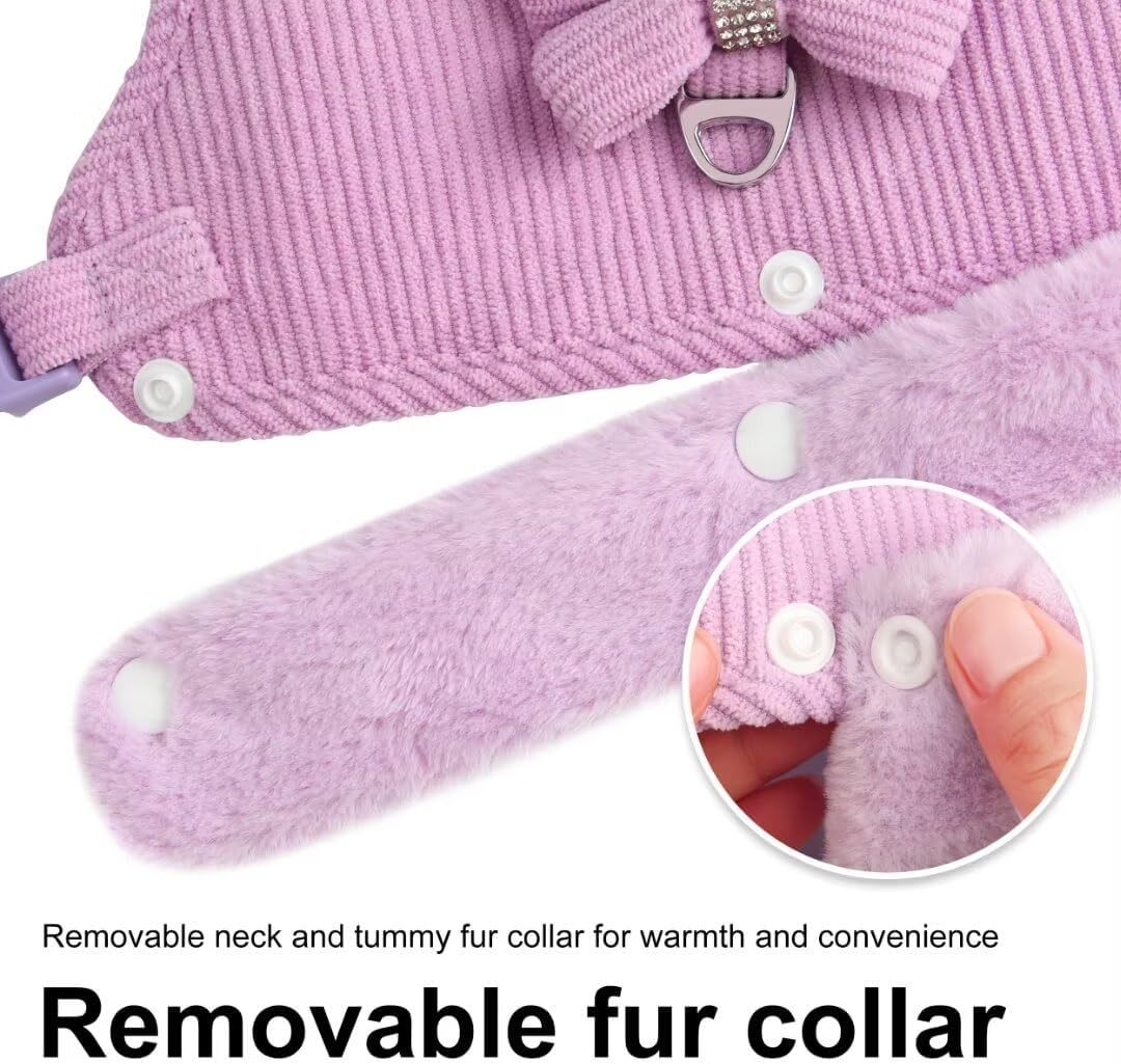 Bow Tie Puppy Harness - Warm Padded Dog Leash Set - Purrfect Pet Haven