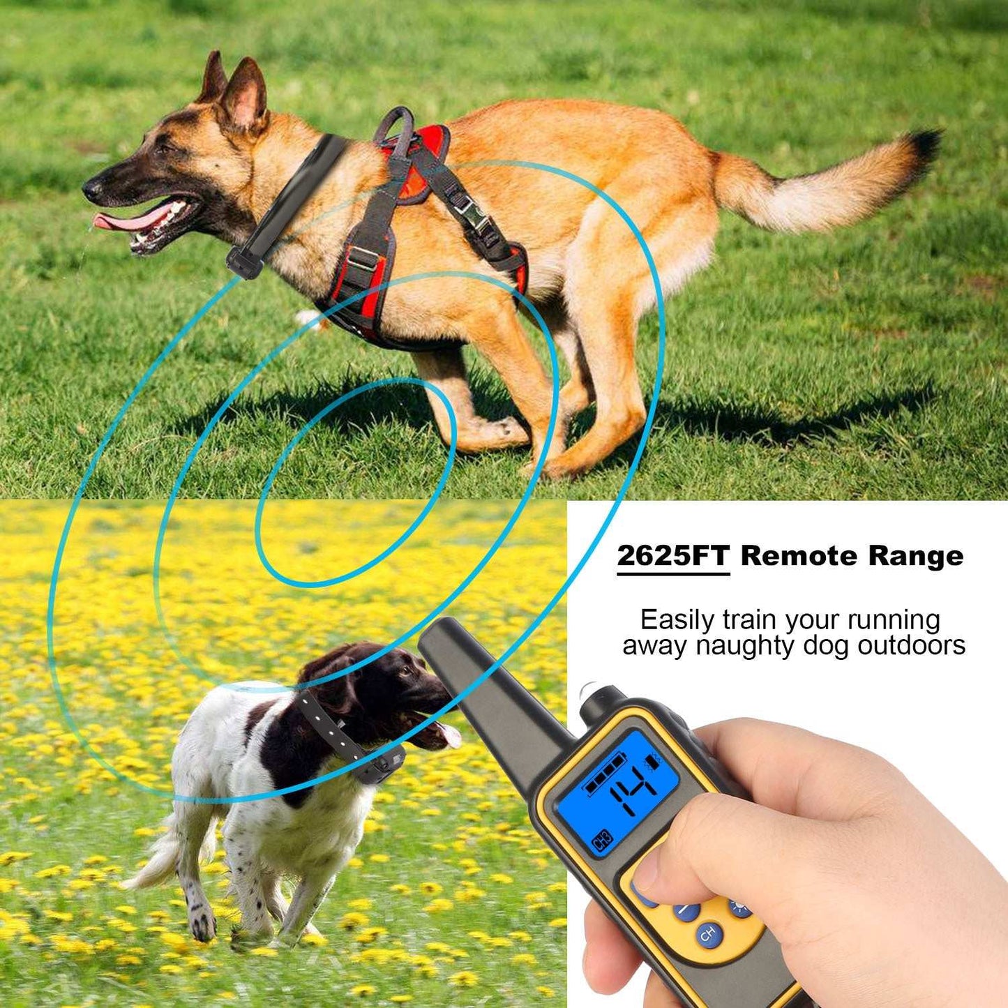 Dog Training Collar With Remote IP67 Waterproof Pet Trainer 300mAh Rechargeable 875 Yard Remote Control 4 Modes Adjustable Level - Purrfect Pet Haven
