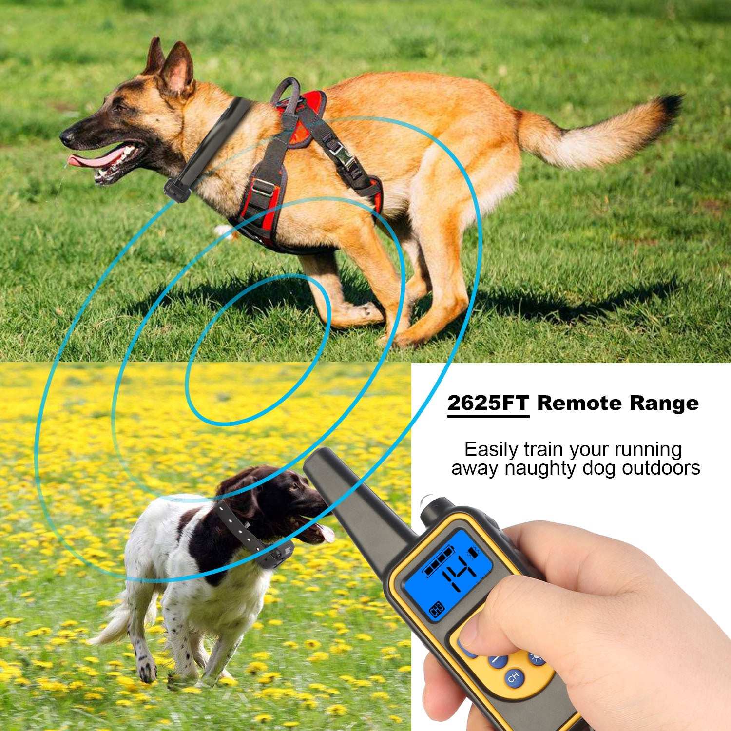 Dog Training Collar With Remote IP67 Waterproof Pet Trainer 300mAh Rechargeable 875 Yard Remote Control 4 Modes Adjustable Level - Purrfect Pet Haven