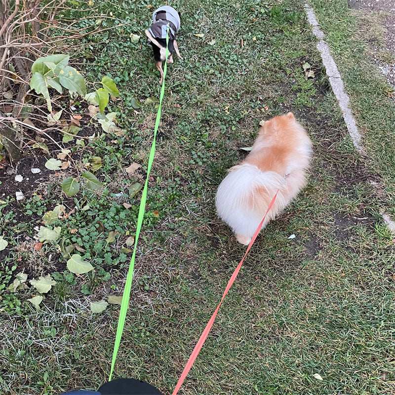 Reflective Swivel Dual Pet Retractable Dog Leash For Small Dogs with Light and Bag Holder - Purrfect Pet Haven