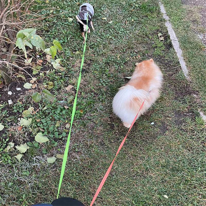Reflective Swivel Dual Pet Retractable Dog Leash For Small Dogs with Light and Bag Holder - Purrfect Pet Haven