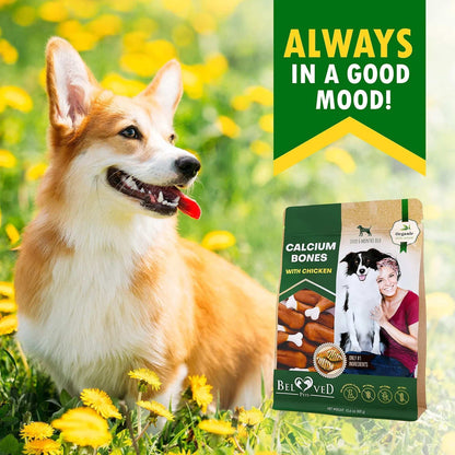 Dog Calcium Bones Wrapped Chicken & Rawhide Free Chew Treats Pet Healthy Dried Snacks Grain Free Organic Meat Chews For Training Small Large Dogs - Purrfect Pet Haven