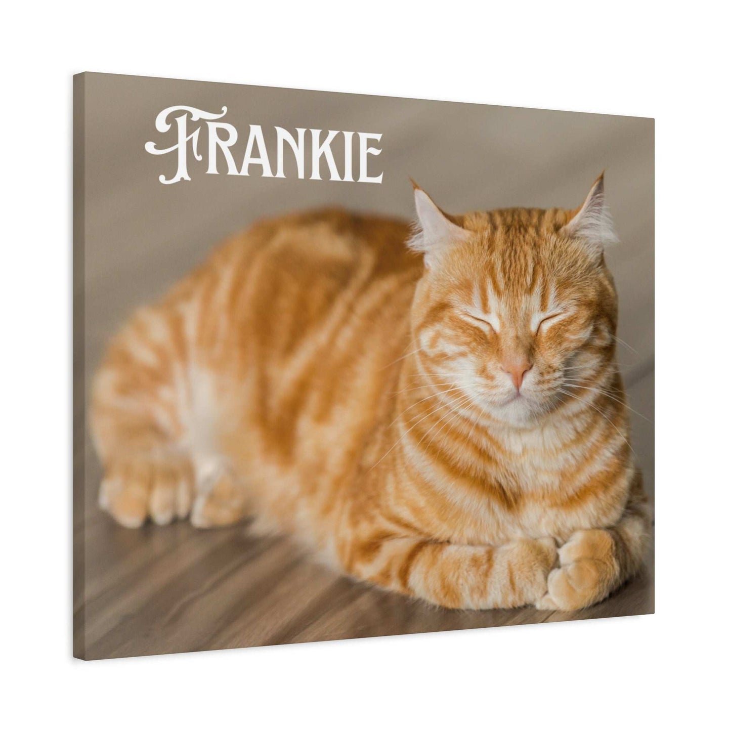 Personalized Landscape Photo Canvas Wall Art - Stretch Framed Print for Pet Lovers - Purrfect Pet Haven