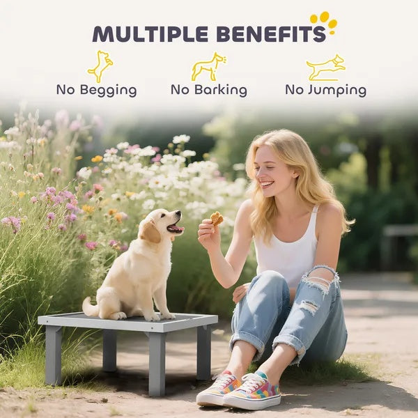 Agility Platform Pro - Wooden Dog Training Board - Purrfect Pet Haven