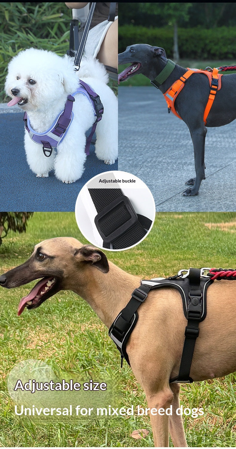 Dog Harness - Large Chest Style with Leash - Purrfect Pet Haven