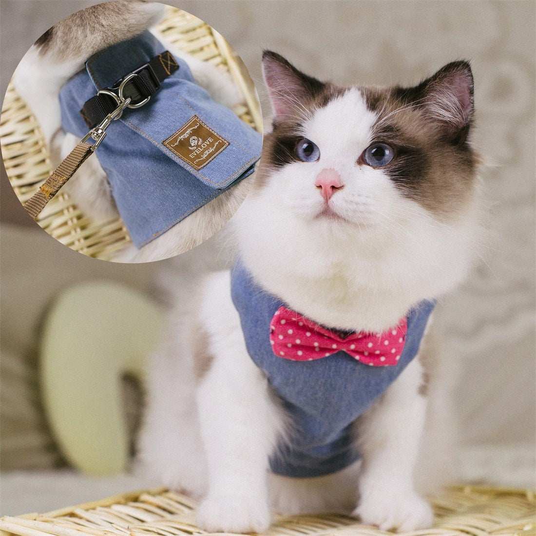 Rope Cat Traction Cat Chest Strap Set Bow - Purrfect Pet Haven
