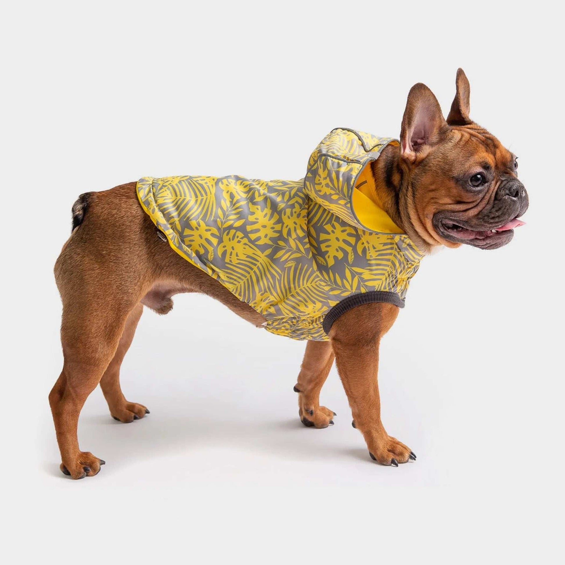 GF Pet Reversible ElastoFit Dog or Puppy Raincoat - Purrfect Pet Haven
