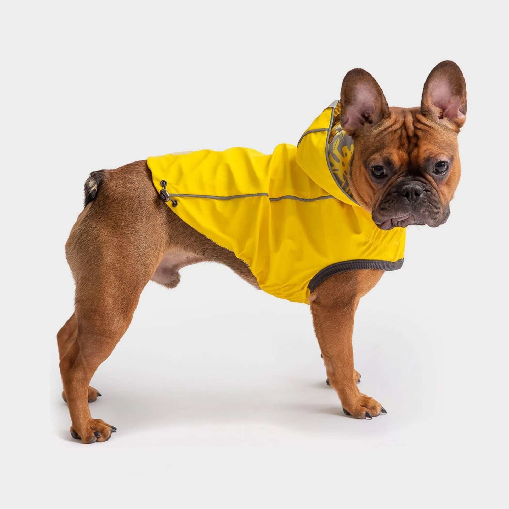 GF Pet Reversible ElastoFit Dog or Puppy Raincoat - Purrfect Pet Haven