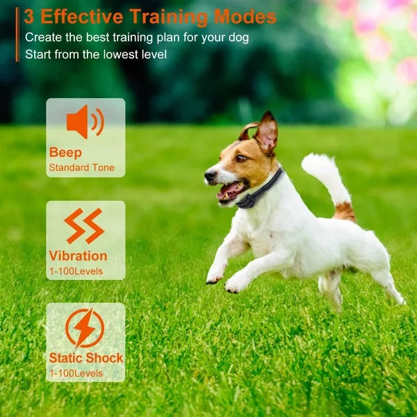 Pro Range Trainer - 3280FT Waterproof Dog Training Collar - Purrfect Pet Haven