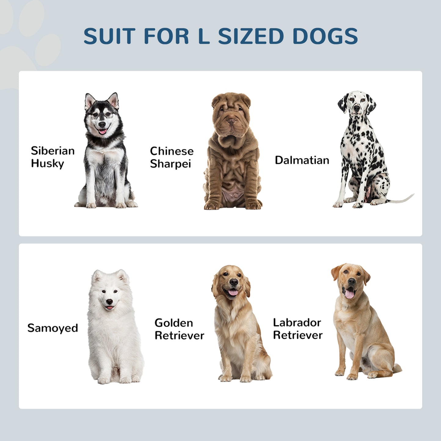 Elevated Dog Bowls - Pet Feeding Station with Storage
