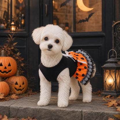 Halloween Dog Dress - Cute Orange & Black Polka Dot Tutu Skirt with Lace Bow, Puppy Party Costume for Small to Medium Dogs, Perfect Halloween Outfit for Bichon, Maltese, Teddy and More
