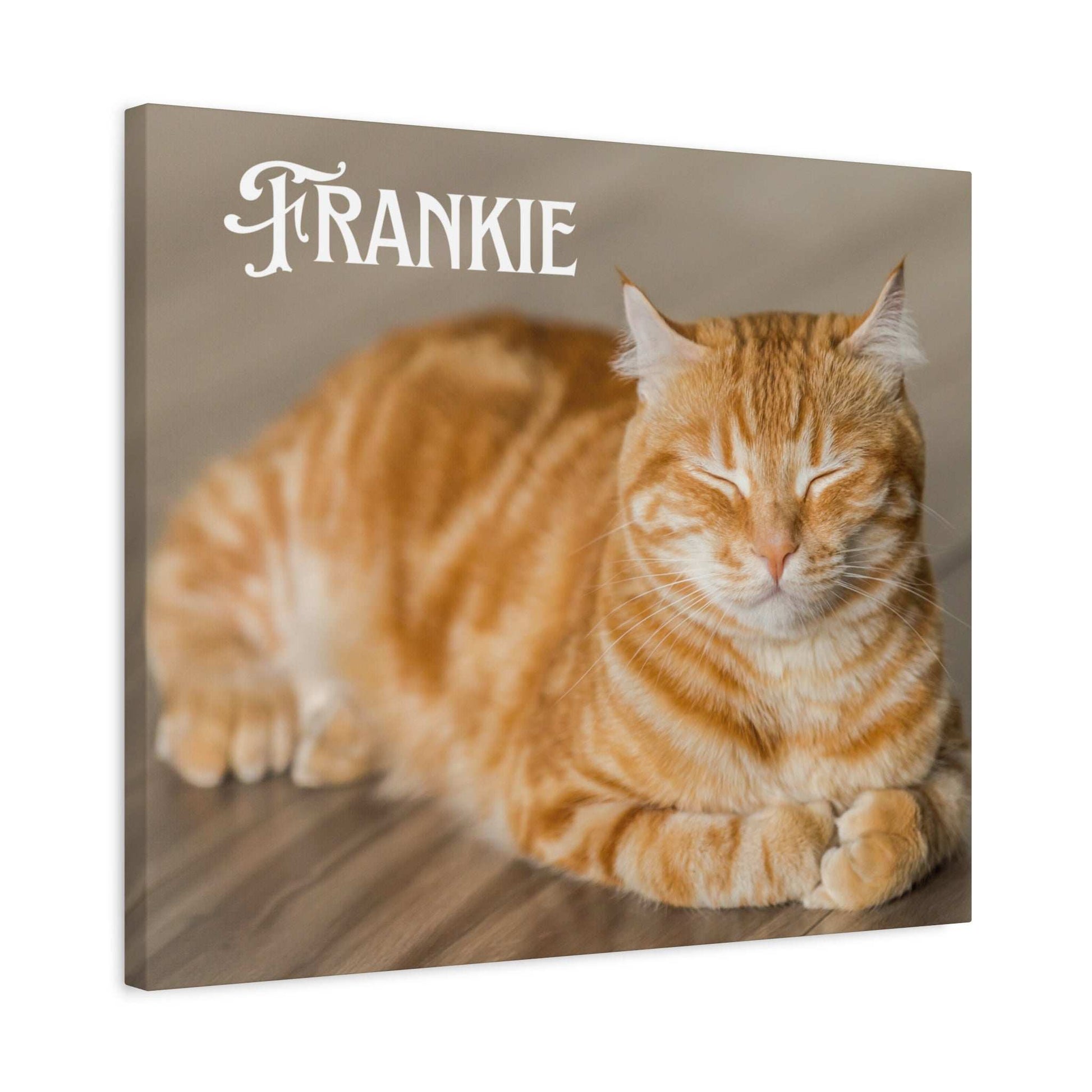 Personalized Landscape Photo Canvas Wall Art - Stretch Framed Print for Pet Lovers - Purrfect Pet Haven