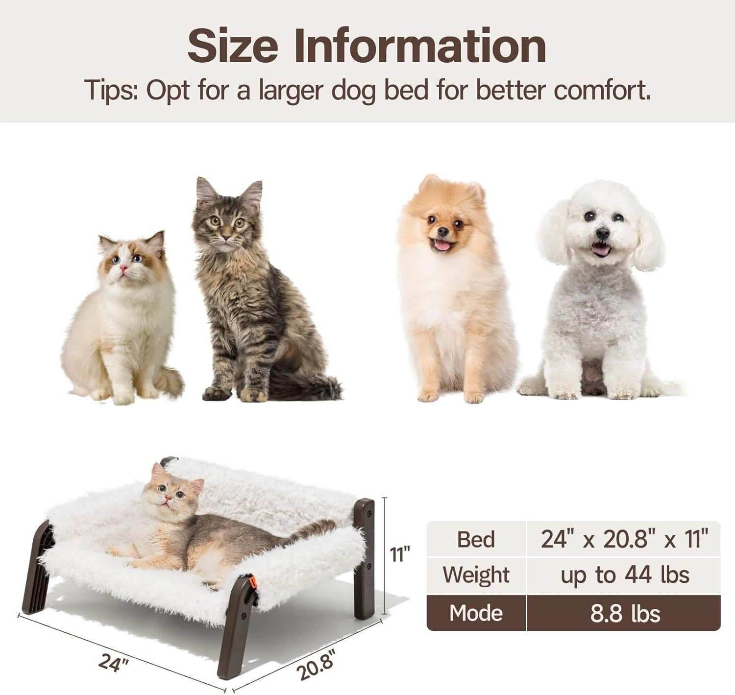 Raised Cat Bed - Elevated Plush 44lb Support - Purrfect Pet Haven