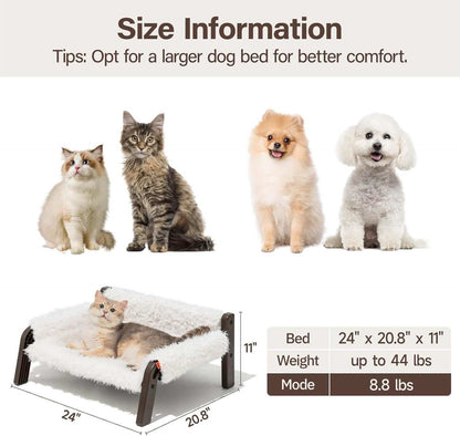 Raised Cat Bed - Elevated Plush 44lb Support - Purrfect Pet Haven