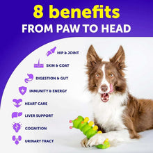 Dog Multivitamin Chewable With Glucosamine 20 In 1 Dog Vitamins And Supplements Senior & Puppy Multivitamin For Dogs Pet Joint Support Health Immunity Mobility Gut Skin 120 Chews - Purrfect Pet Haven