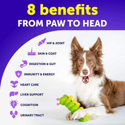 Dog Multivitamin Chewable With Glucosamine 20 In 1 Dog Vitamins And Supplements Senior & Puppy Multivitamin For Dogs Pet Joint Support Health Immunity Mobility Gut Skin 120 Chews - Purrfect Pet Haven