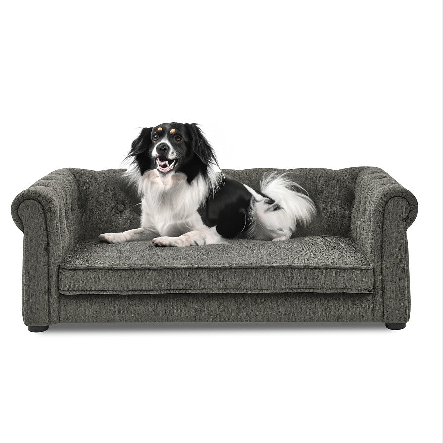 Elevated Dog Sofa Bed - Modern Furniture for Large Dogs - Purrfect Pet Haven