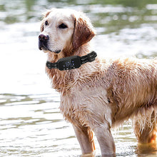 Freedom Zone Fence - Wireless GPS Dog Trainer System - Purrfect Pet Haven