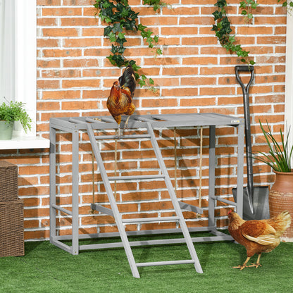 Chicken Activity Playground - Swings & Perches for 3-4 Hens - Purrfect Pet Haven