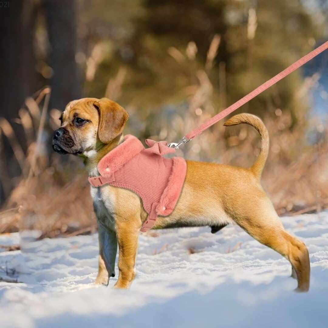 Warm Fur Collar Soft Padded Small Girl Pet Harness and Leash Set with Bow Tie - Purrfect Pet Haven