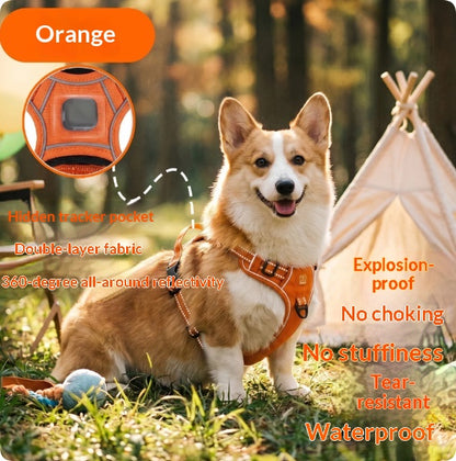 205857013-31