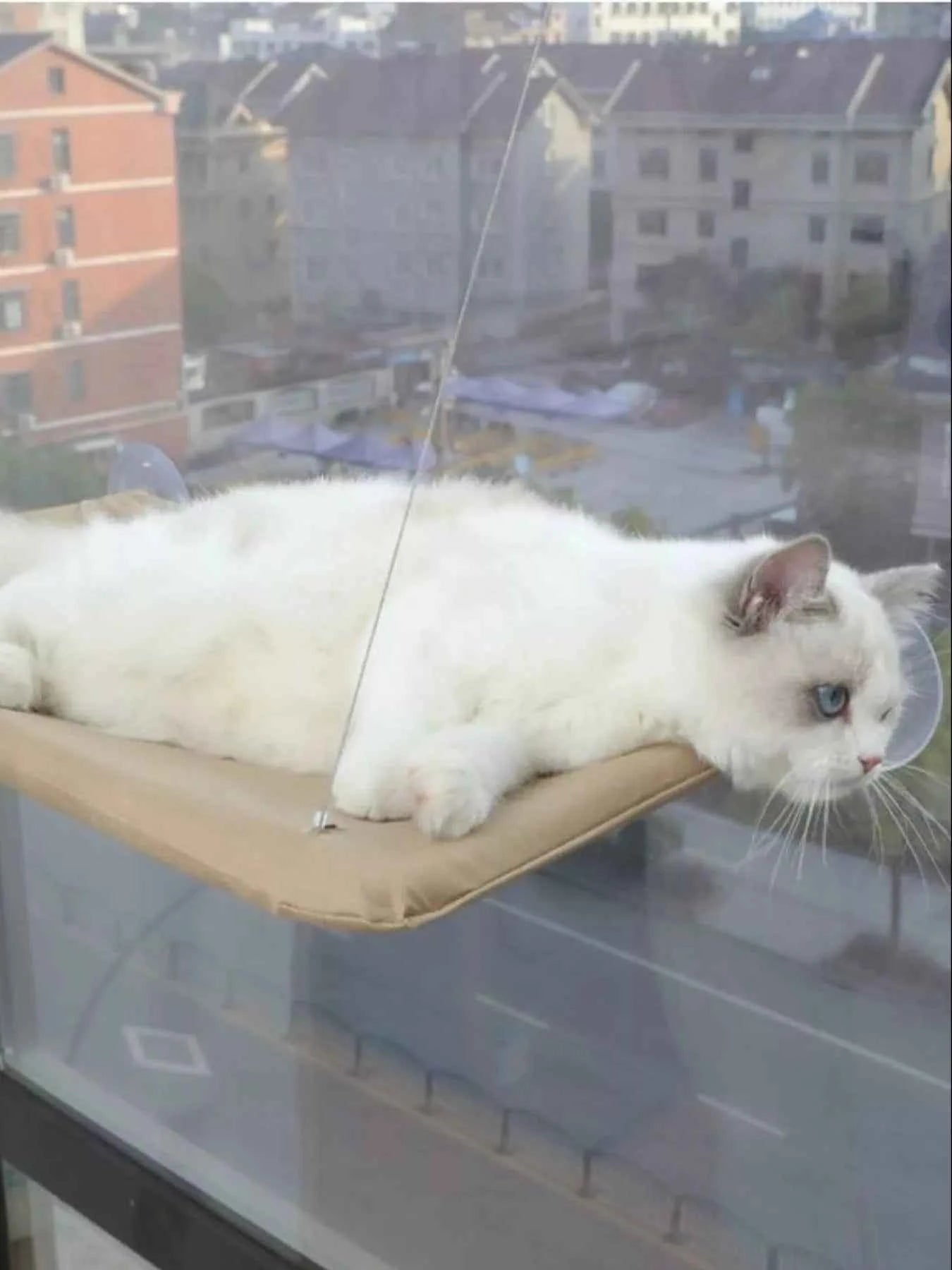 Window Perch Cat Hammock with Suction Cups