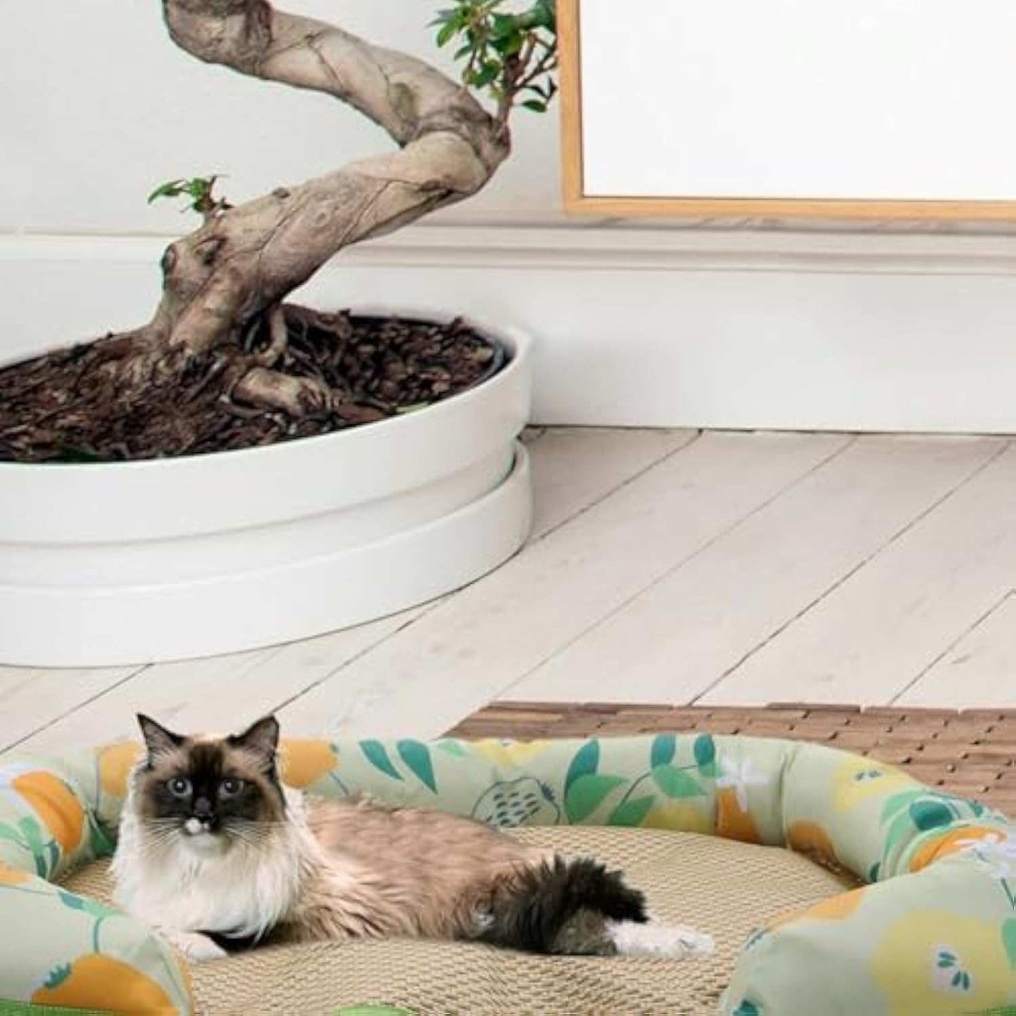 Pet Summer Sleeping Cooling Mat with Side Bolsters for Dogs And Cats - Purrfect Pet Haven