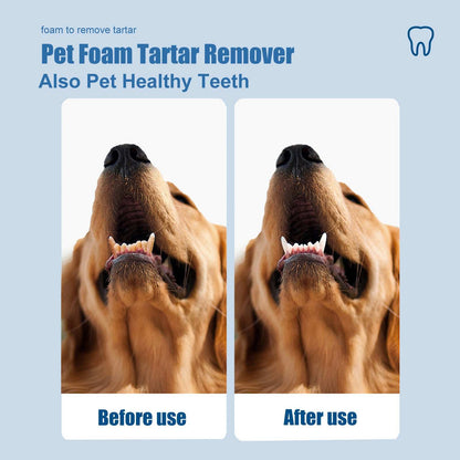 Dental Foam Cleaner For Removing Calculus, Yellow Teeth, Bad Breath, Teeth Cleaning - Purrfect Pet Haven