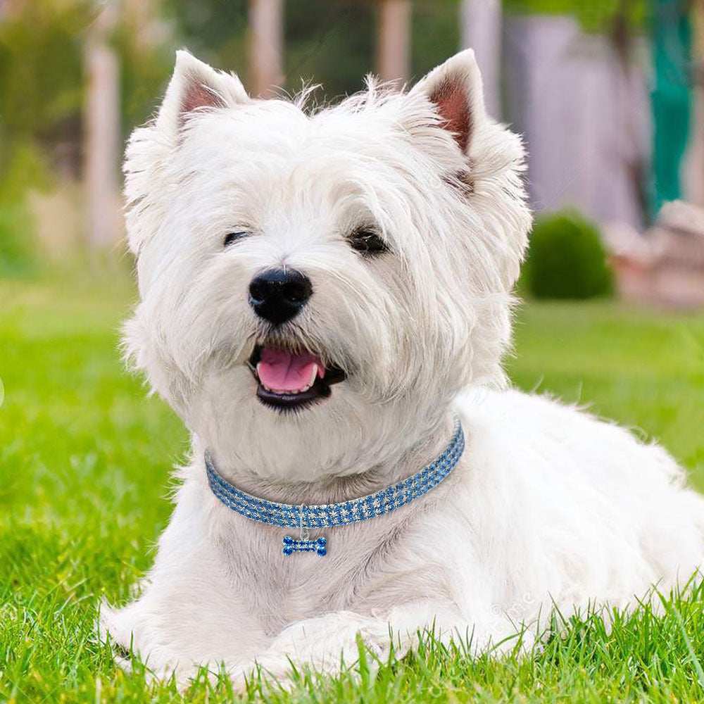 Crystal Bling Rhinestone Dog Collar for Small Medium Dogs Cats - Purrfect Pet Haven