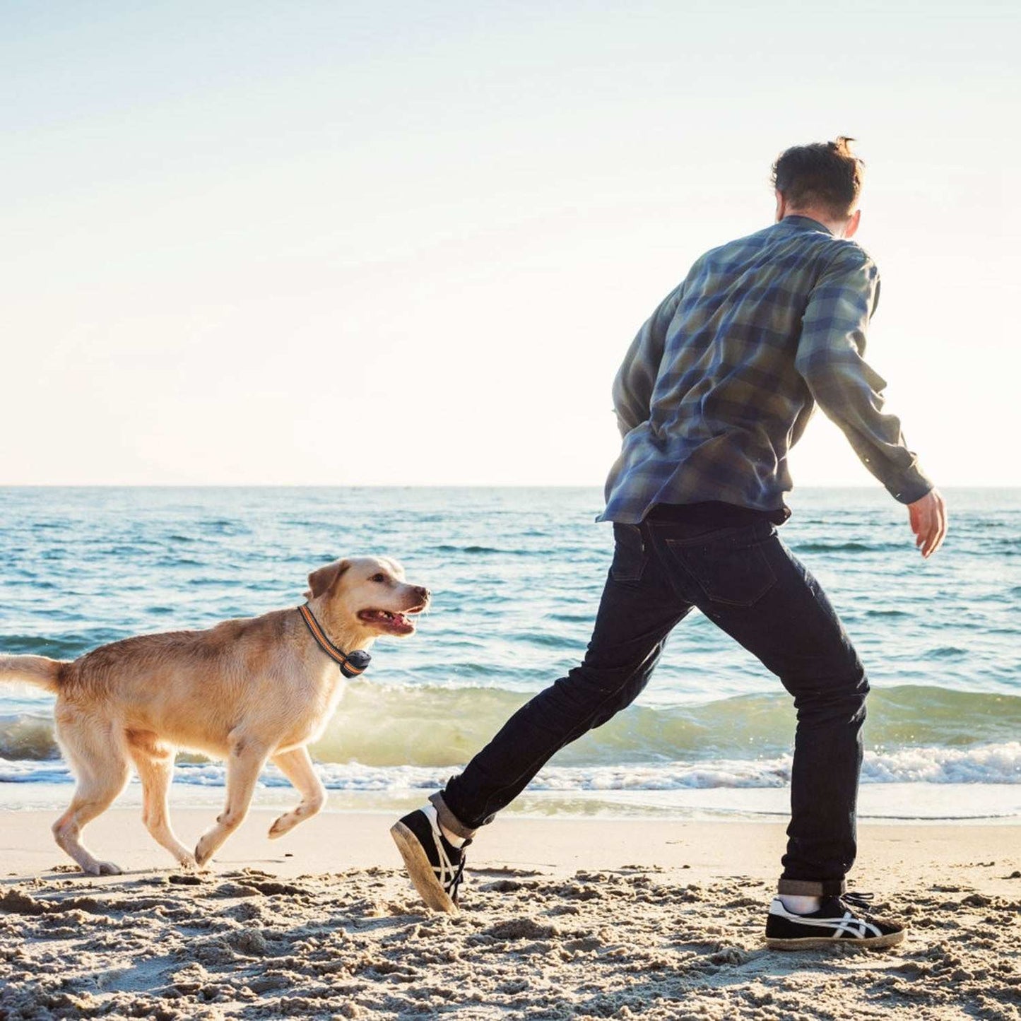 Dog GPS Tracker & Fence - 2-in-1 Wireless Boundary System - Purrfect Pet Haven