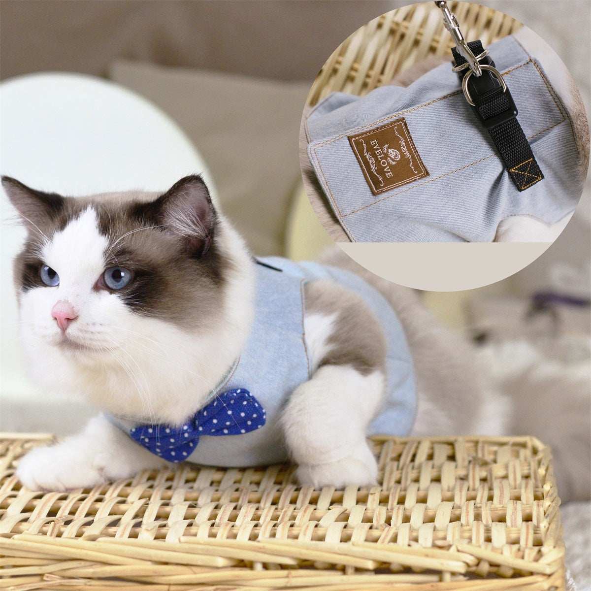 Rope Cat Traction Cat Chest Strap Set Bow - Purrfect Pet Haven