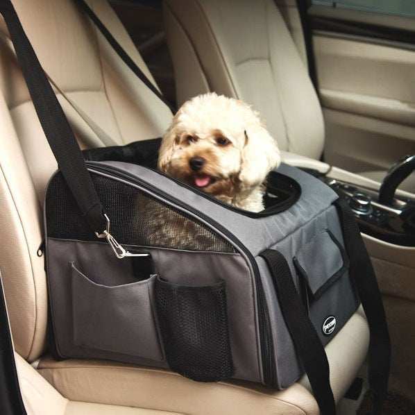 Dog in a pet carrier inside a car