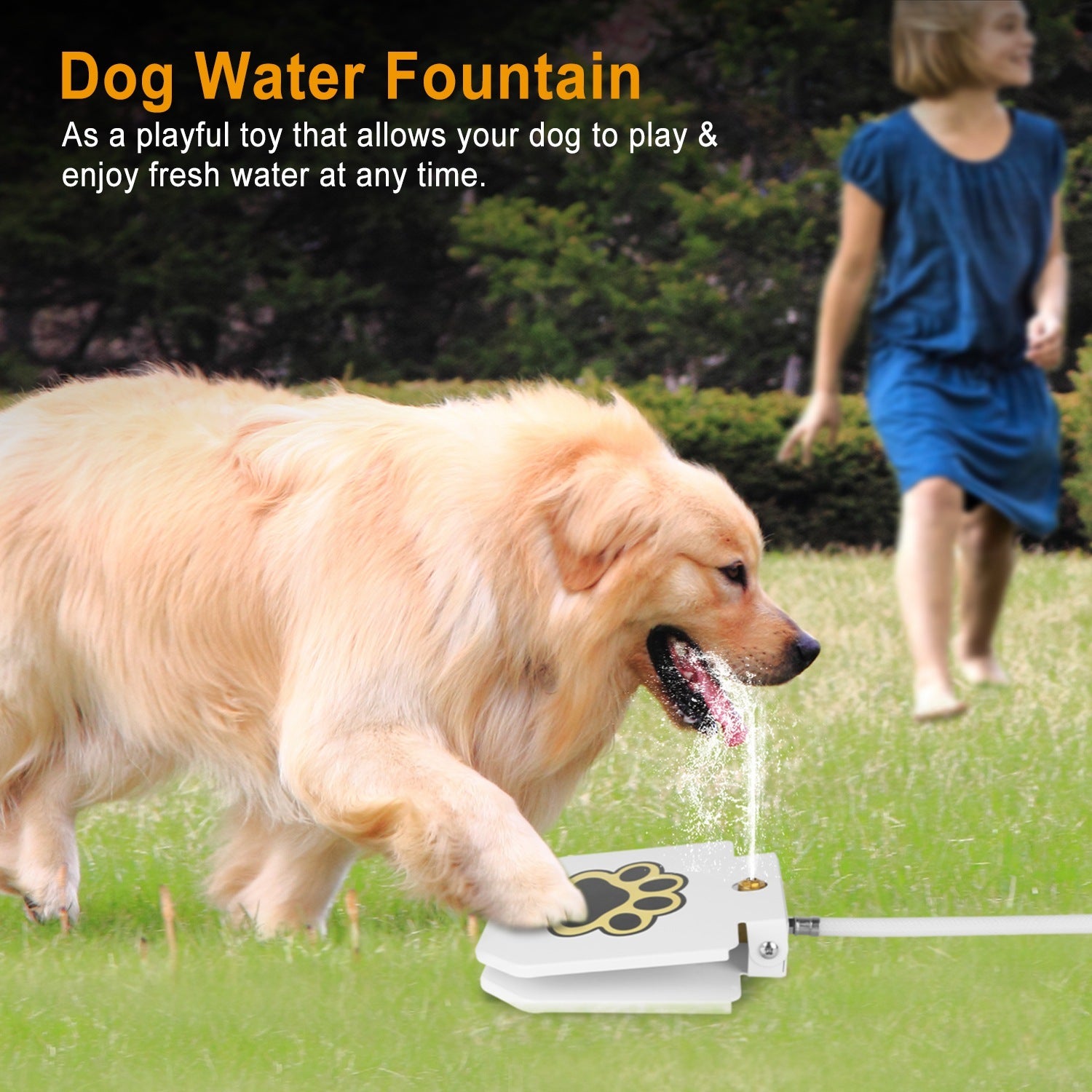 dog water pedal Outdoor Fountain Model:BK11M(48V) water alert light Die schönsten Mountainbike Touren Category:E Bikes MTB Cross_ACID E Crank  170mm  38T