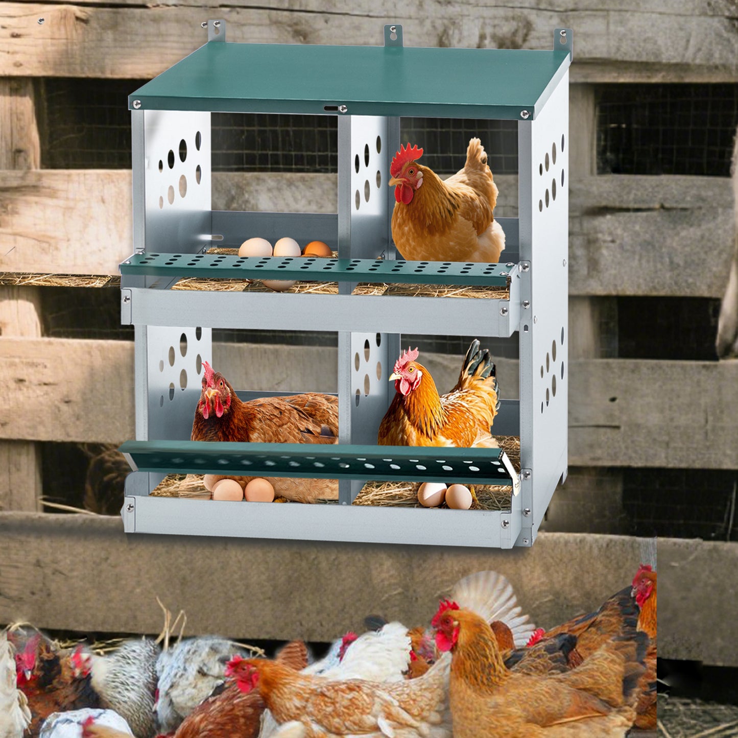 4-Compartment Metal Chicken Nesting Box - Wall Mount - Purrfect Pet Haven