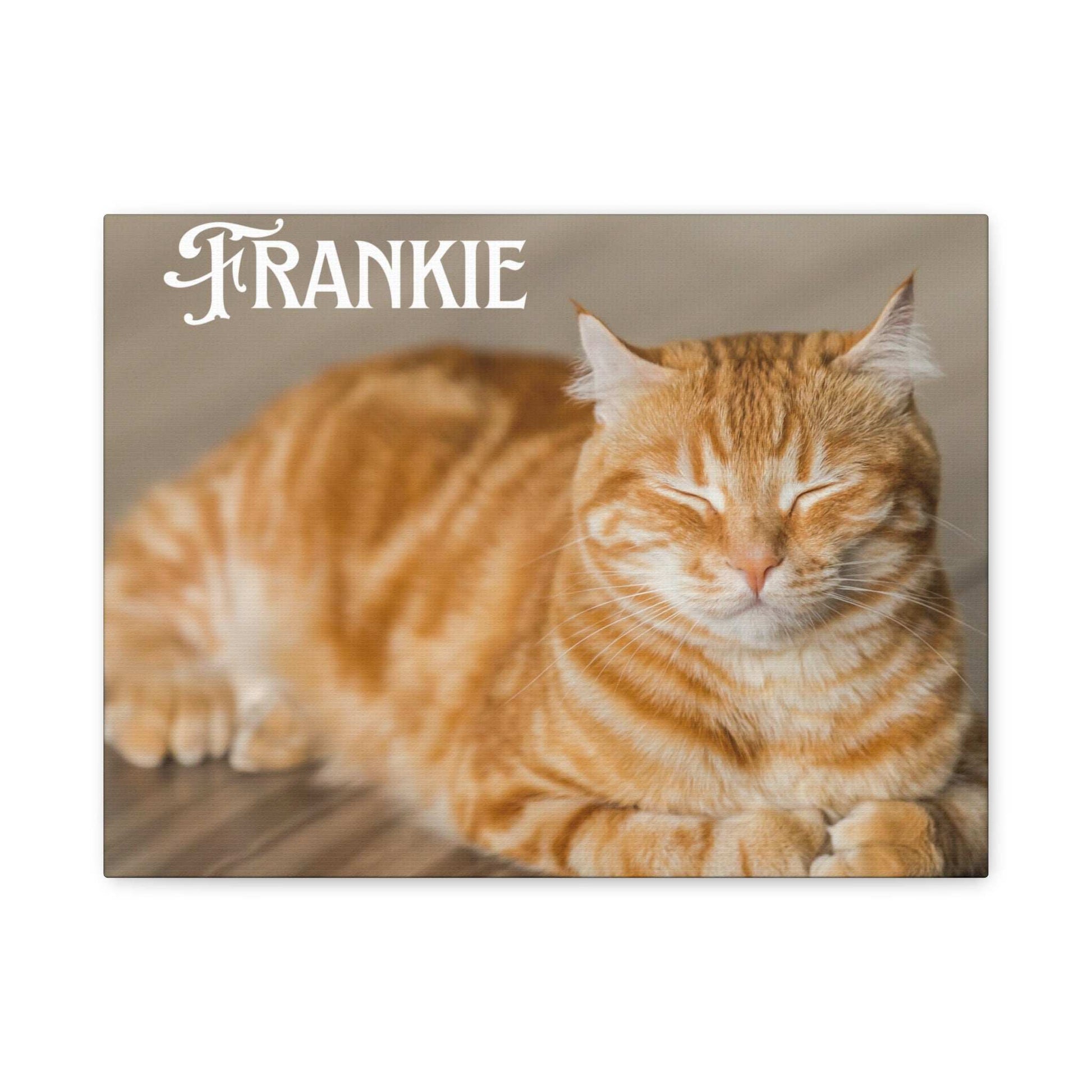 Personalized Landscape Photo Canvas Wall Art - Stretch Framed Print for Pet Lovers - Purrfect Pet Haven