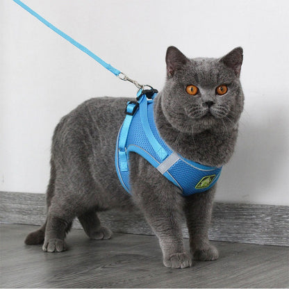 Anti-Escape Cat Vest - Breathable Walking Harness - Purrfect Pet Haven