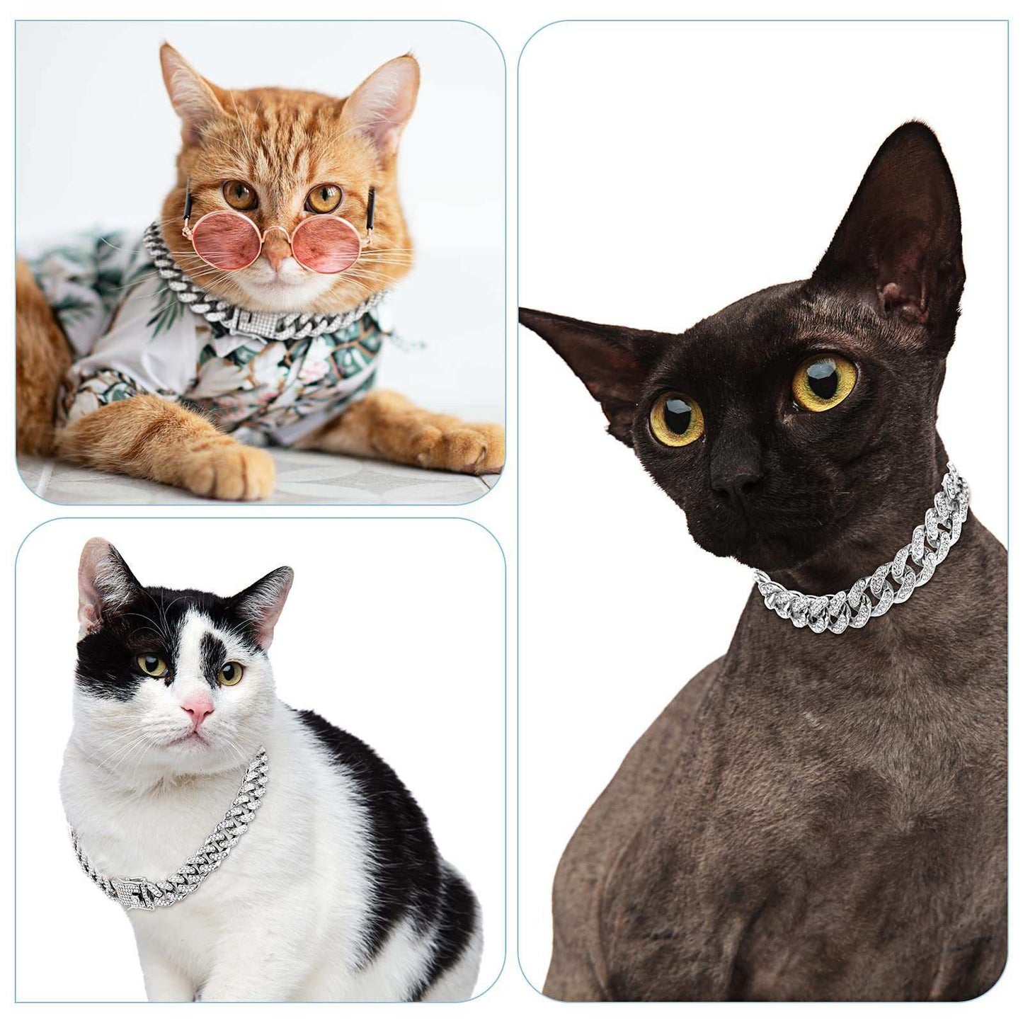 Diamond Bling Dog Cat Collar - Cuban Style Necklace - Purrfect Pet Haven