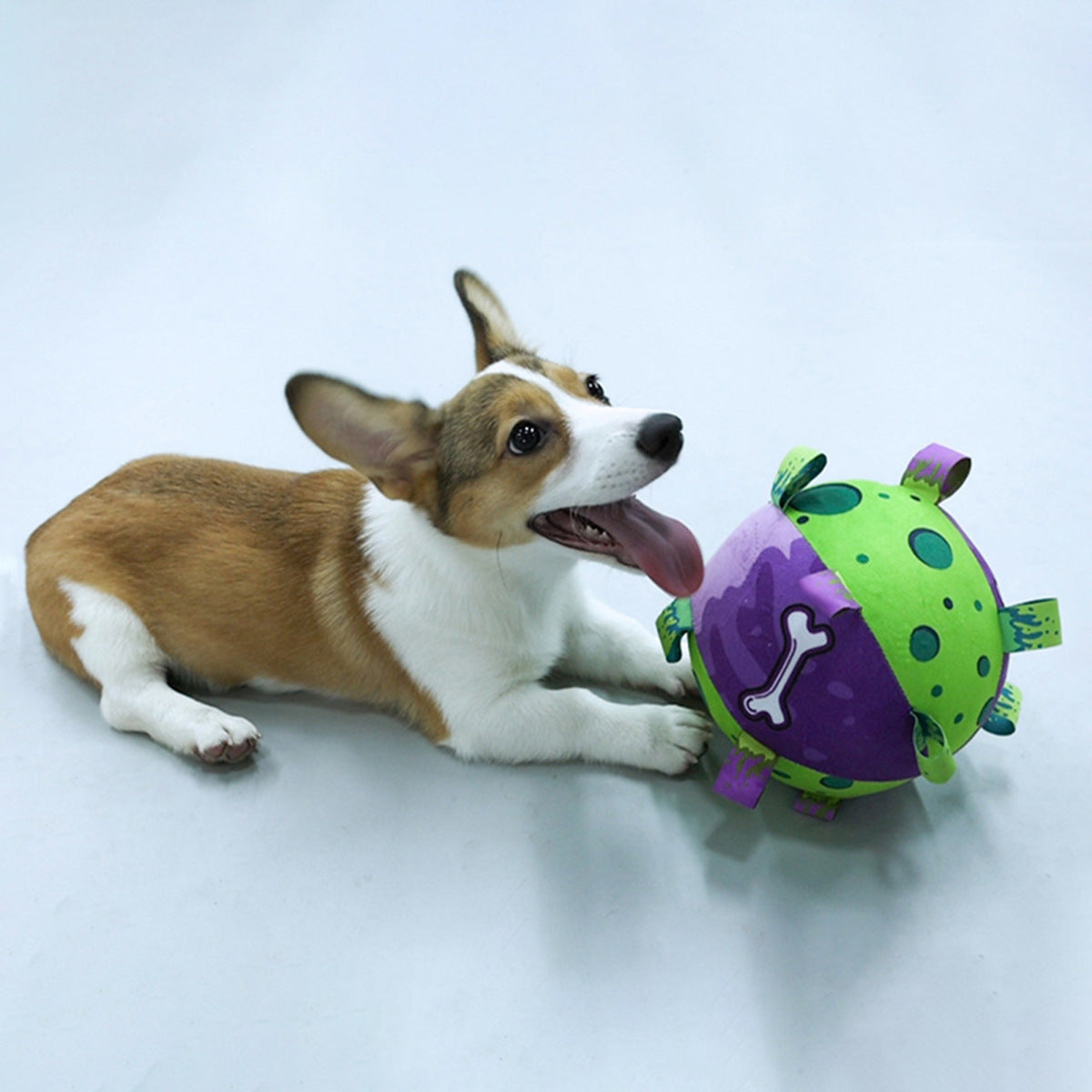 Dog Soccer Ball - Interactive Tug Toy with Straps - Purrfect Pet Haven