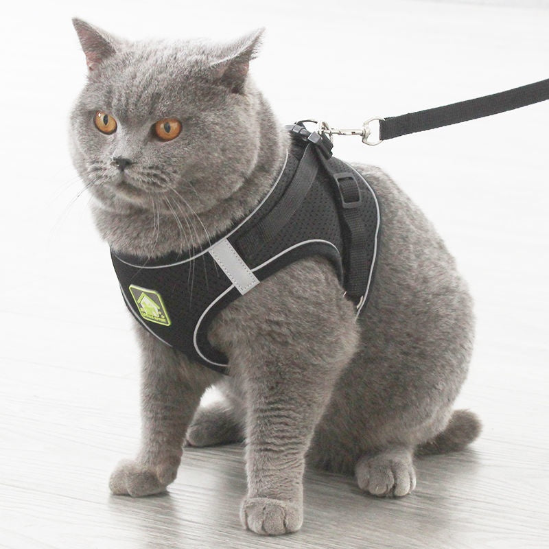 Anti-Escape Cat Vest - Breathable Walking Harness - Purrfect Pet Haven