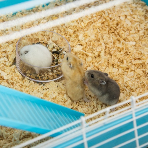 Extra-Large 23" Hamster Cage - 5-Tier with Tunnels - Purrfect Pet Haven