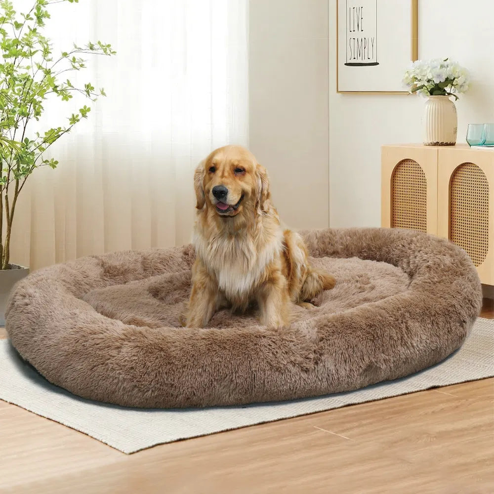 Dog Bed - Large Washable with Handles & Non-Slip - Purrfect Pet Haven