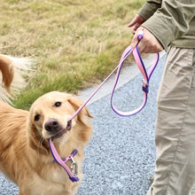 DIY Pet Leash Set - Dual-Color Embossed with 12 Accessories - Purrfect Pet Haven