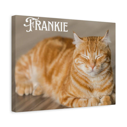 Personalized Landscape Photo Canvas Wall Art - Stretch Framed Print for Pet Lovers - Purrfect Pet Haven